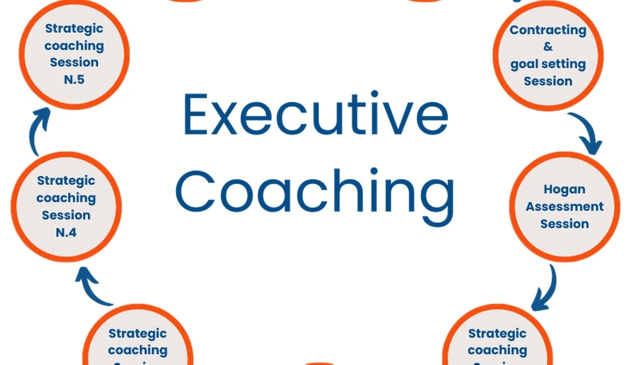 Online Eğitim Platformu